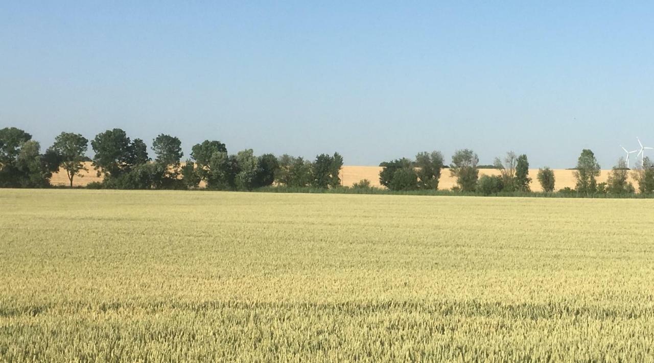 Ferienwohnung Walkershofen Simmershofen Buitenkant foto
